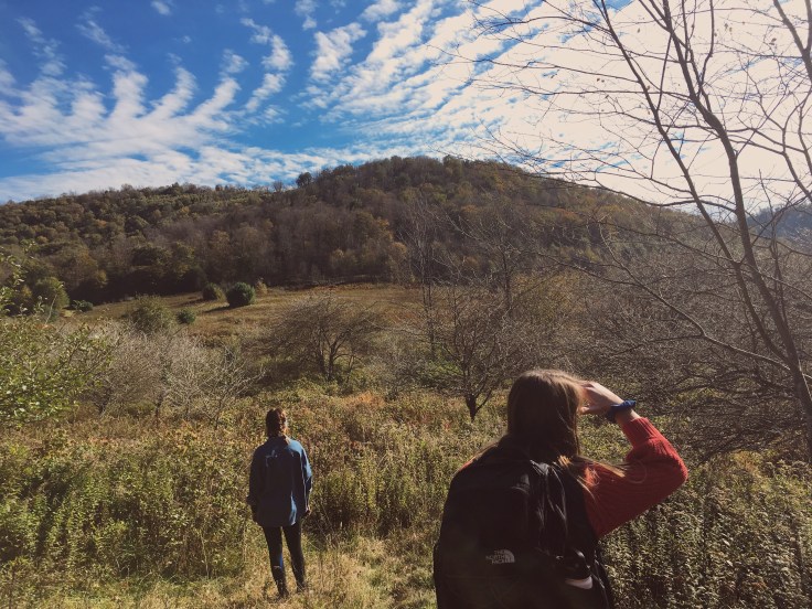 Processed with VSCO with kk2 preset